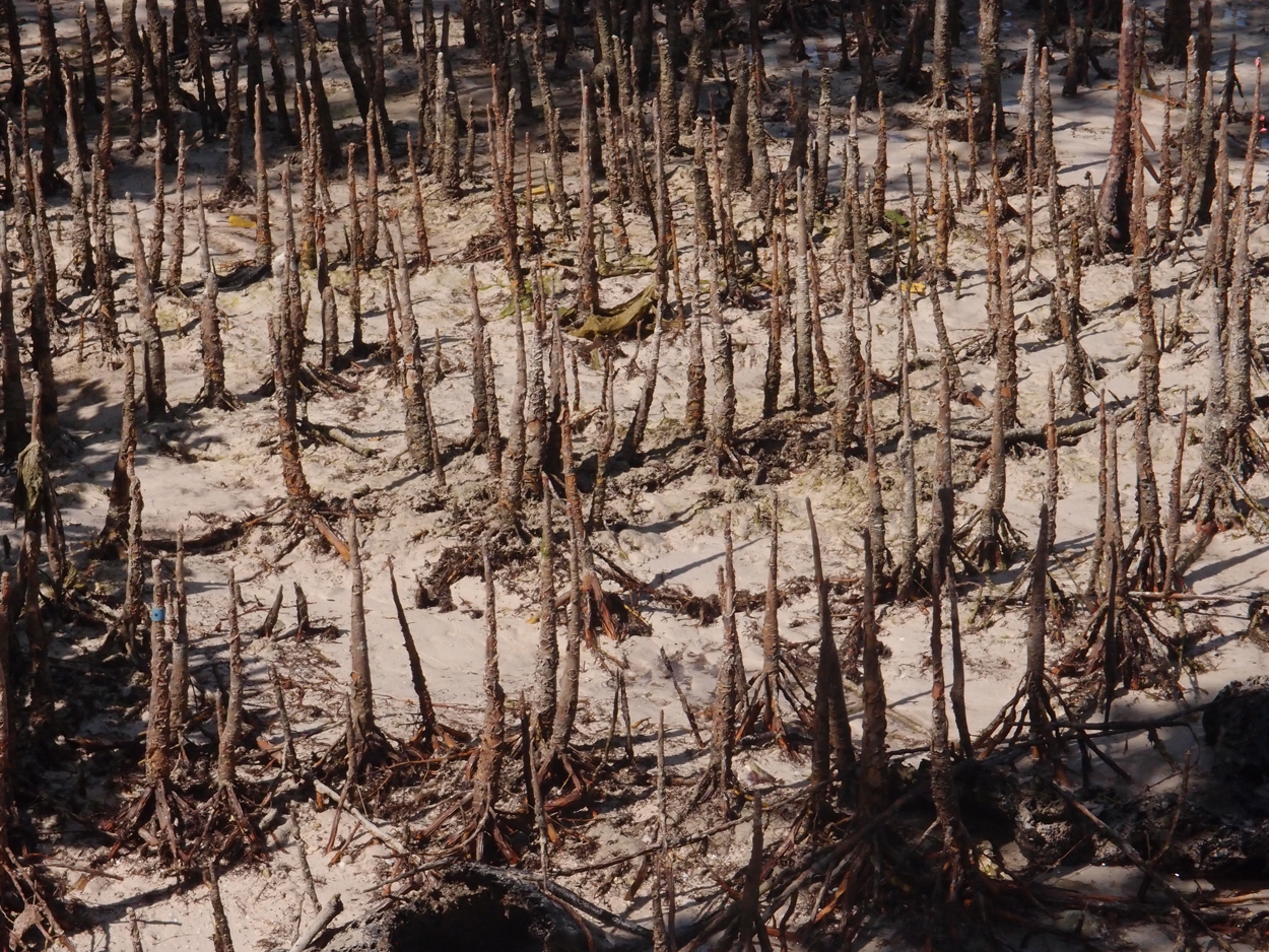 2015-10-07 Habitat des Lorbi (Foto)